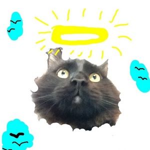 Meet your Posher, Ruby